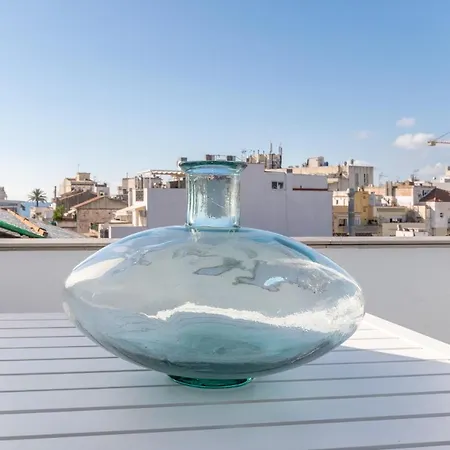 Penthouse Apartment
